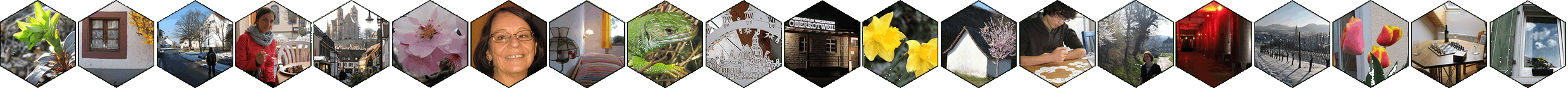 Die Sprachpension hat viele Facetten Die Sprachpension hat viele Facetten