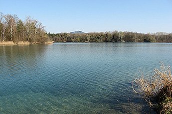 der Burkheimer See der Burkheimer See