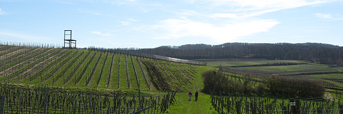 "Das Gestühl" mit dem "Kaiser"-Stuhl "Das Gestühl" mit dem "Kaiser"-Stuhl