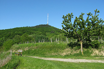 Blick zum Totenkopf Blick zum Totenkopf