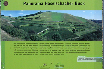 Infotafel, vergrößert