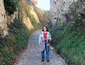 Hohlweg bei Bickensohl Hohlweg bei Bickensohl