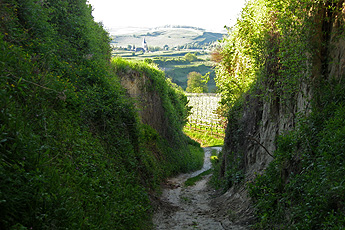 Hohlgasse mit Blick auf Oberrotweil Hohlgasse mit Blick auf Oberrotweil