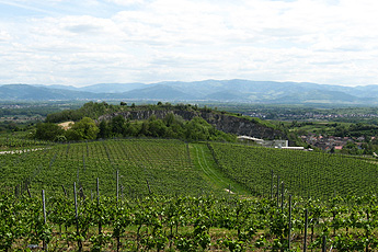 Blick über den Steinbruch Bötzingen Blick über den Steinbruch Bötzingen