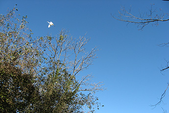 ...bei sommerlichen 25 Grad ...bei sommerlichen 25 Grad