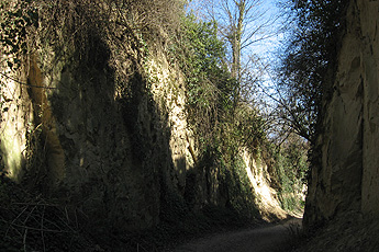 Hohlgasse zwischen Amoltern und Endingen Hohlgasse zwischen Amoltern und Endingen