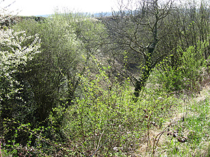 Ehemaliger Hohlweg Ehemaliger Hohlweg