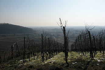 Blick vom Achkarrer Schlossberg Blick vom Achkarrer Schlossberg