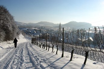 Winter im Kaiserstuhl Winter im Kaiserstuhl